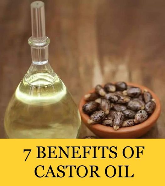 Castor oil is being investigated for its potential therapeutic properties and its practical applications in the field of health enhancement
