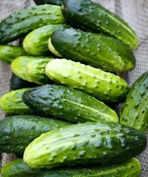 Cucumber Salad Benefits with fresh cucumber slices, cherry tomatoes, red onion, parsley, and lemon dressing